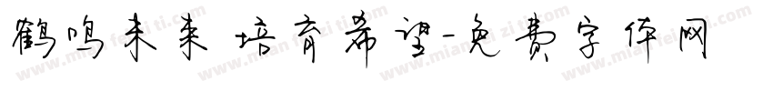 鹤鸣未来 培育希望字体转换